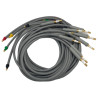 Jeu complet decapus quickels