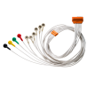Câble Patient Snap IEC 10 Brins pour TouchECG HD+ Cardioline